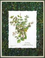 Snowberry