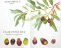 Coffeeberry